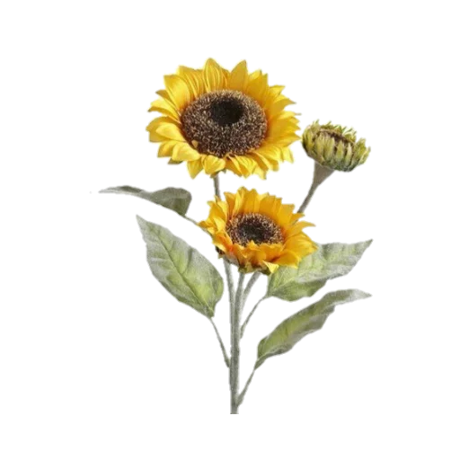 Стикер nydelig