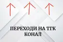 Стикер Hedgehogs