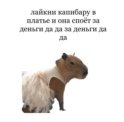 Стикер капибарка