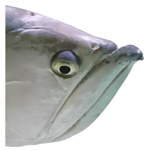 Стикер No