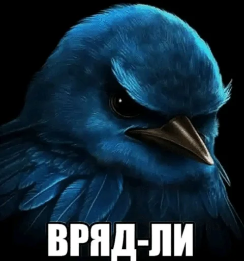 Стикер Birds Memes