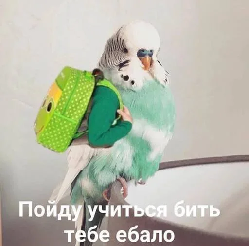 Стикер Outrageous