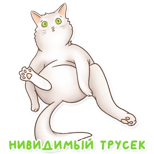 Стикер Коты