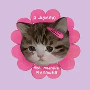 Стикер мяввв