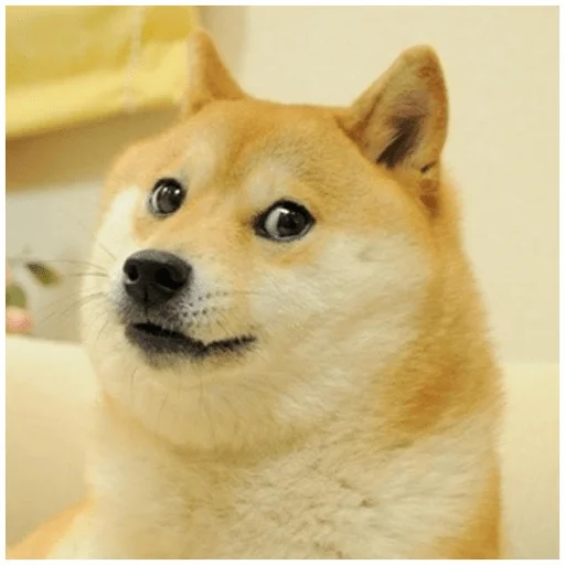 Стикер Собачки