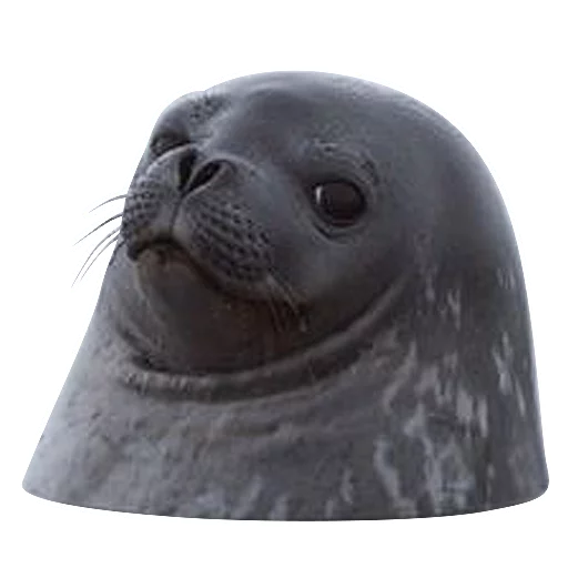 Стикер Тюленюс