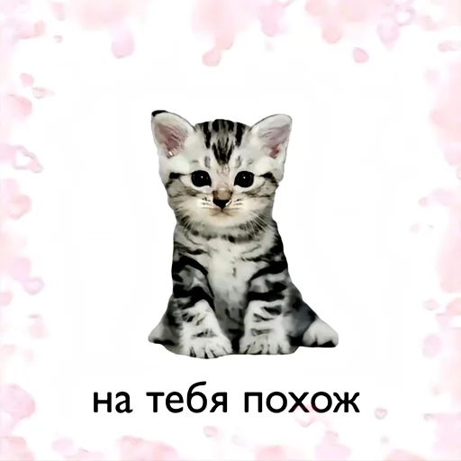 Набор стикеров