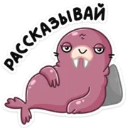 Набор стикеров