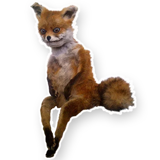 Стикер УпоротаяЛиса