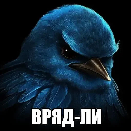 Стикер Birds Memes