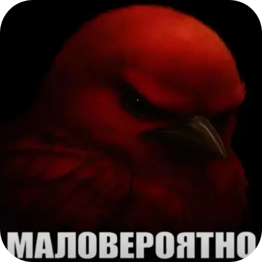 Стикер Birds Memes