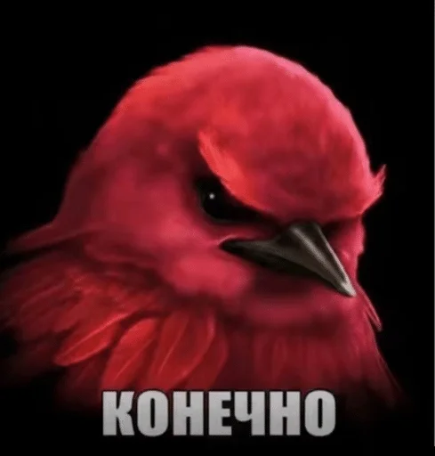 Стикер Birds Memes
