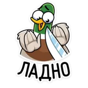 Набор стикеров