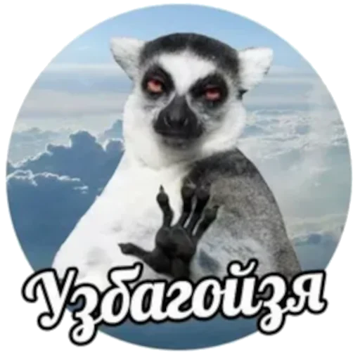 Набор стикеров