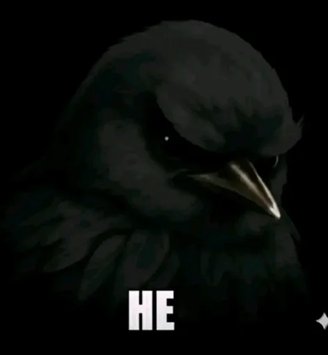 Стикер Birds Memes