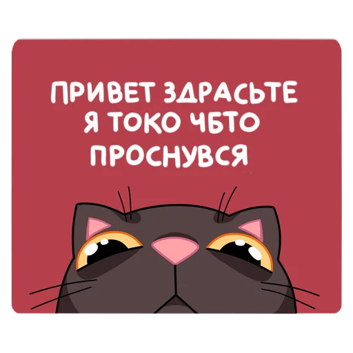 Набор стикеров