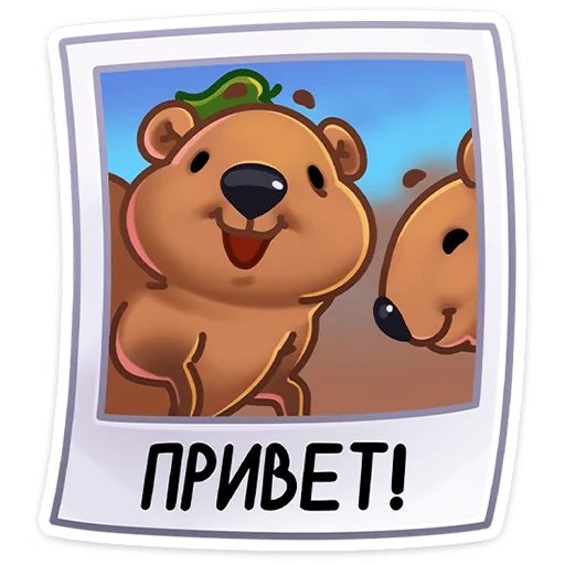 Набор стикеров