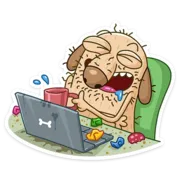 Набор стикеров