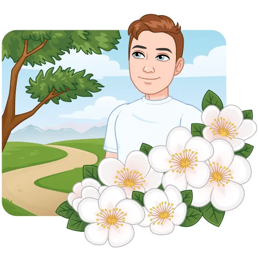 Набор стикеров