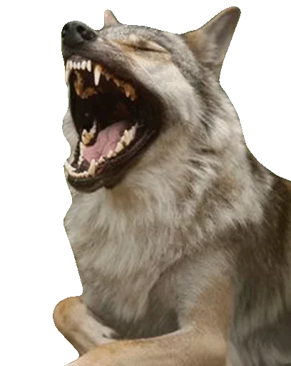 Стикер Волчий Пак