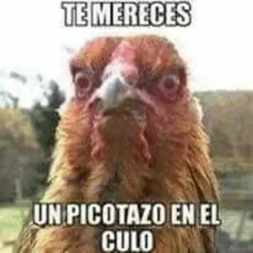 Стикер Nonsense