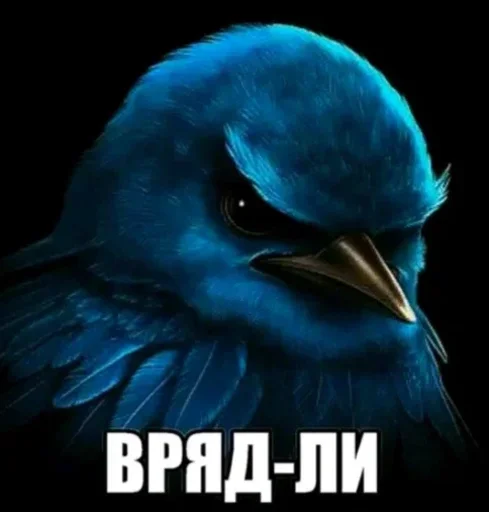 Стикер Birds Memes