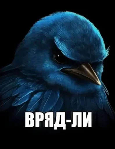 Стикер Birds Memes