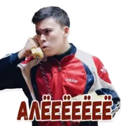 Набор стикеров