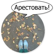 Набор стикеров