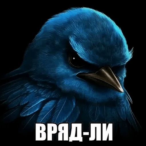 Стикер Birds Memes