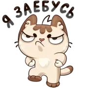 Набор стикеров