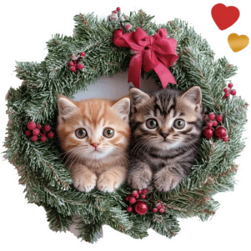 Стикер Зимние котики