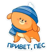 Набор стикеров