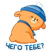 Набор стикеров