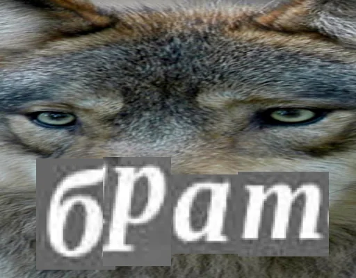 Стикер Волк за брата