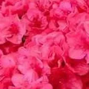 Стикер С праздником!