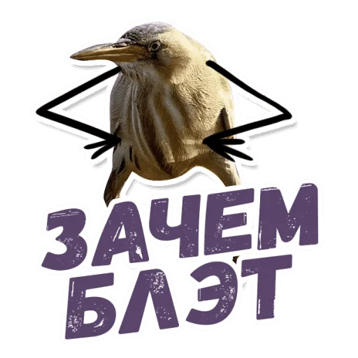 Стикер Так Блэт