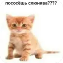 Стикер tg: