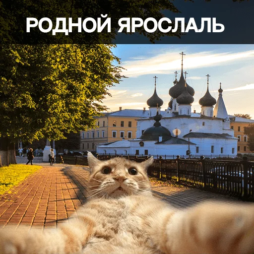 Стикер Ярославль