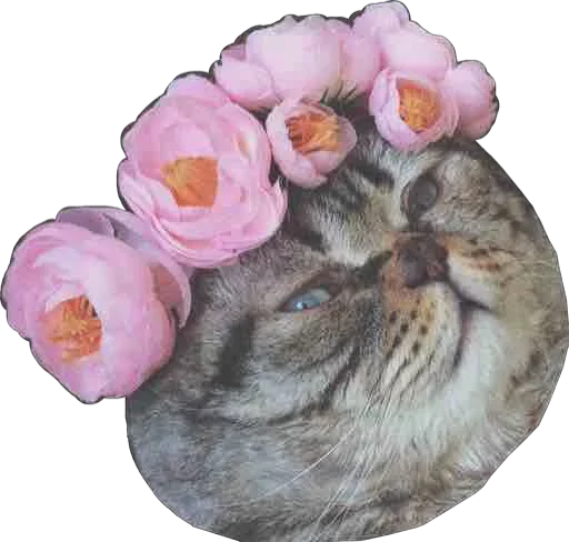 Стикер Conquer