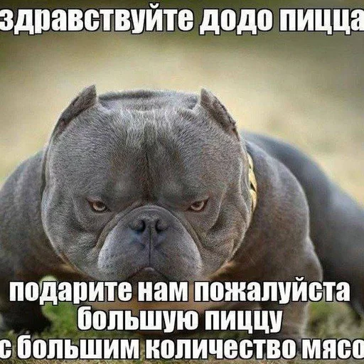 Стикер умирание