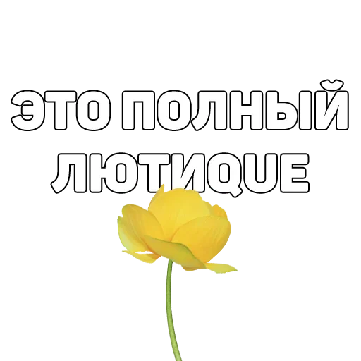 Стикер 134 ук рф