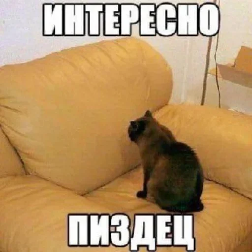 Стикер стикерная каша🥯