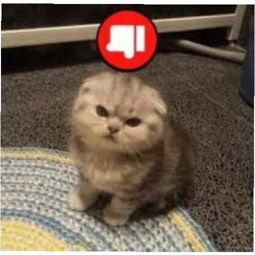 Стикер юбочка чулочки я чвк фембойчик)))