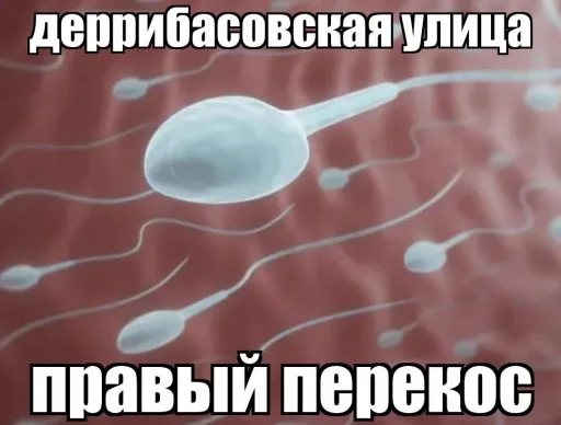 Стикер Мемы от закаулок28