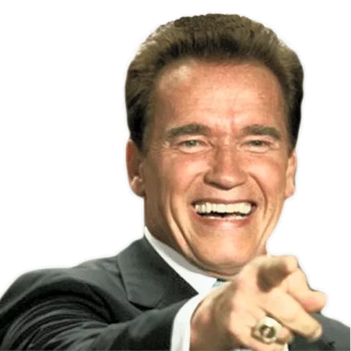 Стикер Железный Арни