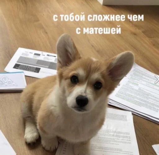 Набор стикеров