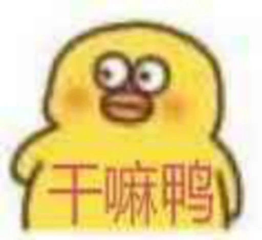 Стикер 核心支付群友专享
