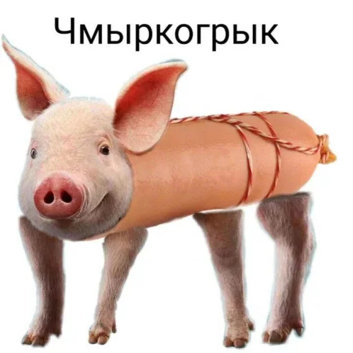 Стикер Жиза