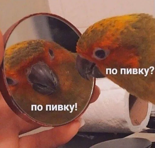 Стикер звуки тоста